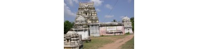 29. திருஅரிமேய விண்ணகரம்